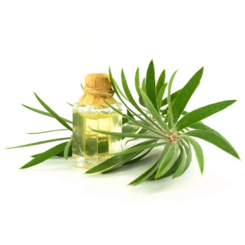 Porter’s Liniment Salve (2oz Tin) – Porter's Products