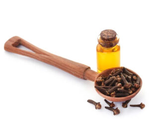 Porter’s Liniment Salve (2oz Tin) – Porter's Products